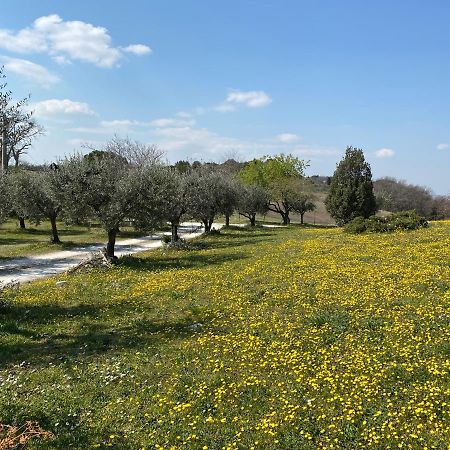 Belle Marche Panzió Civitanova Alta Kültér fotó