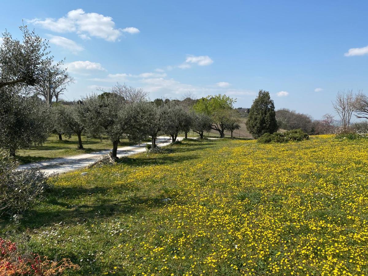 Belle Marche Panzió Civitanova Alta Kültér fotó