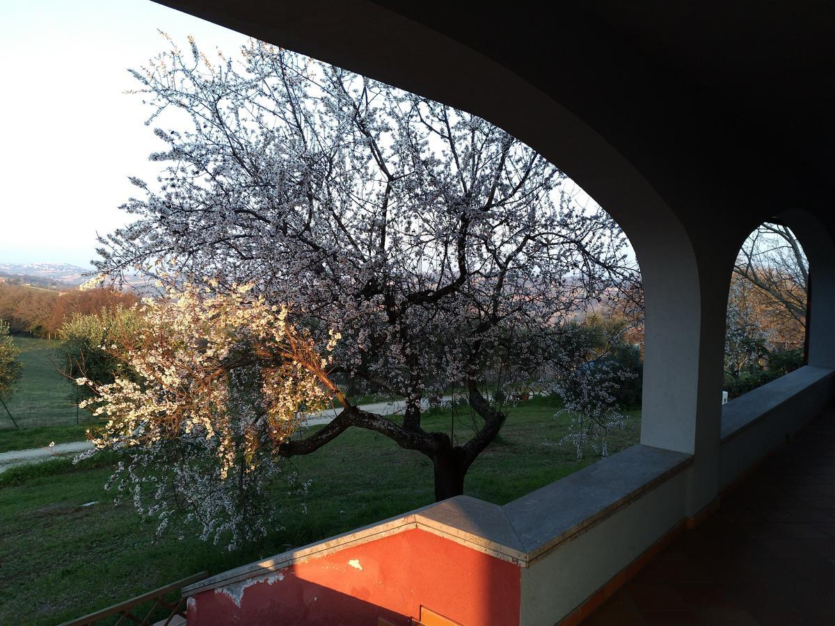 Belle Marche Panzió Civitanova Alta Kültér fotó