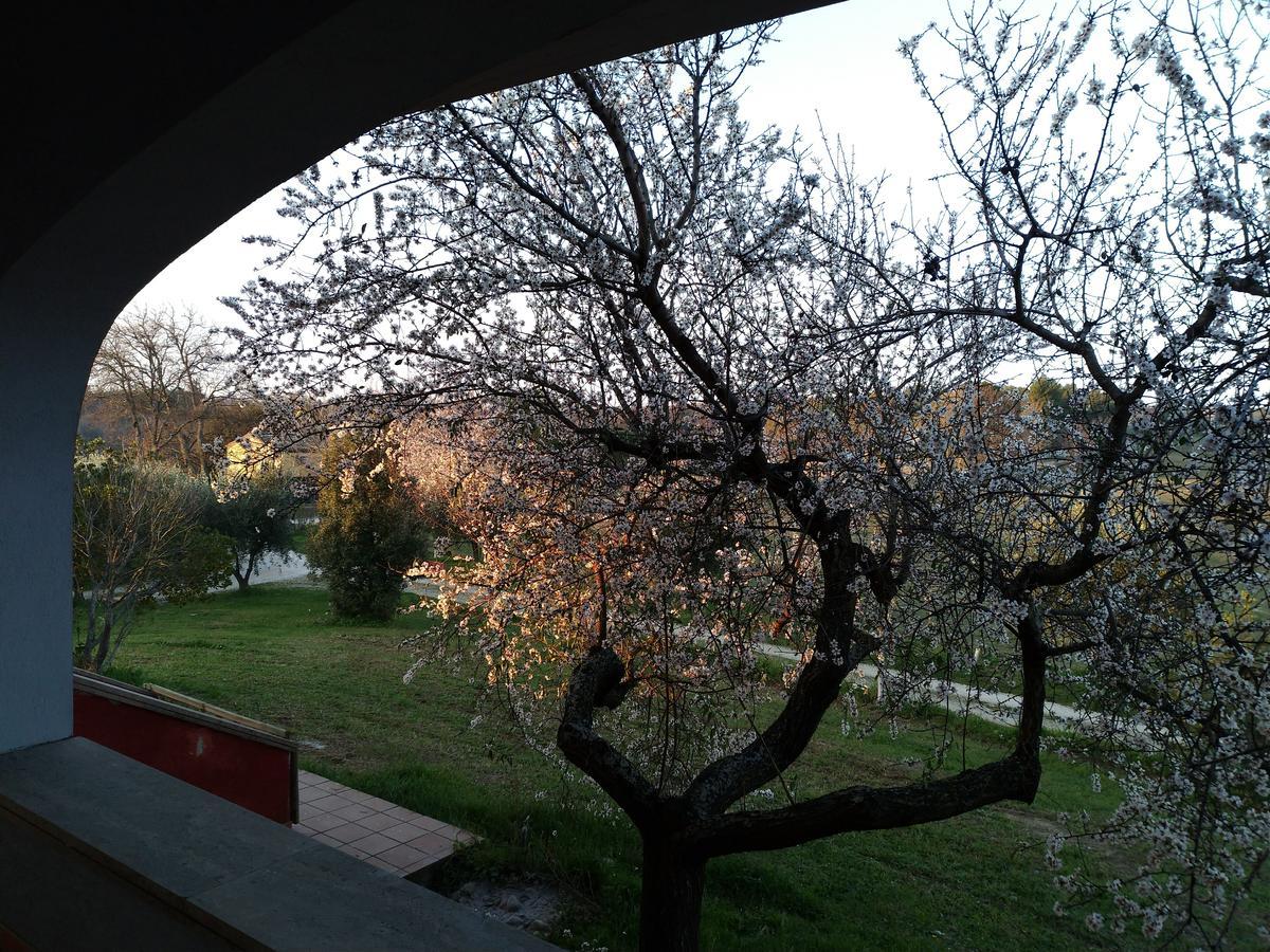 Belle Marche Panzió Civitanova Alta Kültér fotó